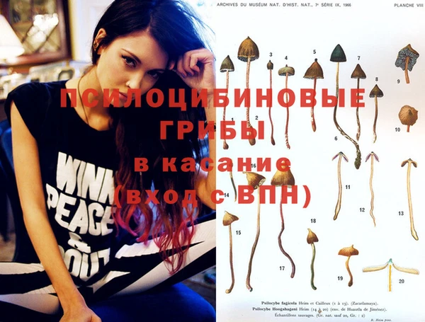 спайс Алексин