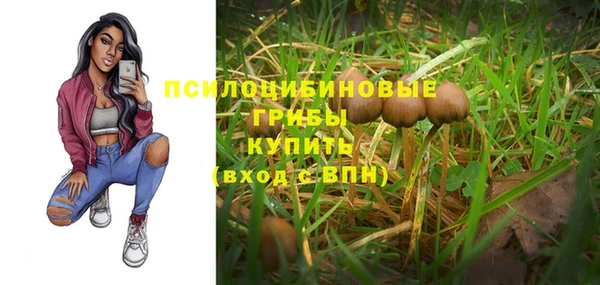 не бодяженный Армянск